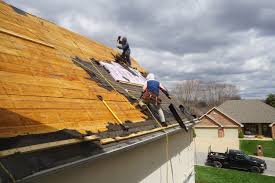 Best Roof Moss and Algae Removal  in Purdy, MO